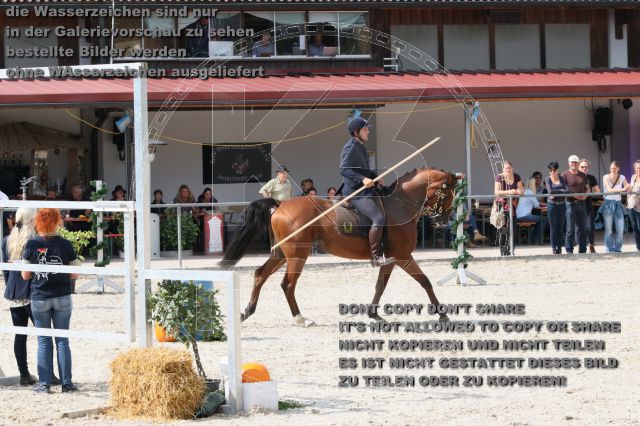 s_IMG_9661.JPG